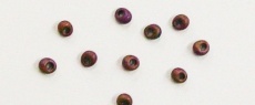 Megatama Beads