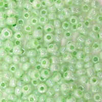 Wholesale 6/0 Seed Beads