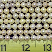 Cultured Akoia Pearls