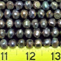 Freshwater Pearls