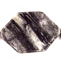 Zebra Stone Waffle Bead