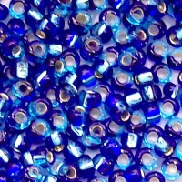 Blue Blender S/L Two Tone