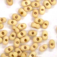 Matt Dk Cream Farfalle