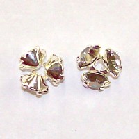 Blossom Caps crystal Silver Shadow