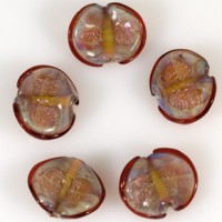 Boro Seashell Light Violet
