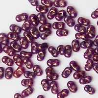 NEW Purple Golden Rain Farfalle
