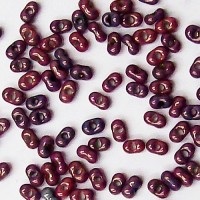 NEW Berry Mix Farfalle