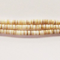 Heshi Canarium Shell