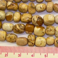Picture Jasper