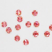Rose Monte  Padparadscha