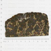 Asteroid Jasper Slab for cabbing
