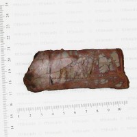 Noreen Jasper Slab