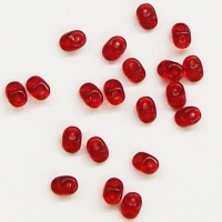 Burmese Ruby Super Duo