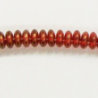 Ruby Gold Lentil 2 Hole