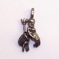 Aquarius Charm