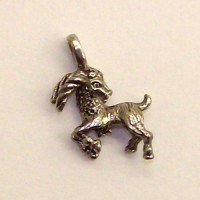 Capricorn Zodiac Charm