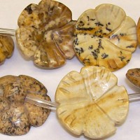 Stone Flower Picture Jasper