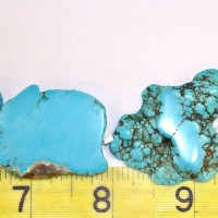 Turquoise Slab Beads LG