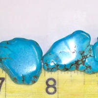 Turquoise Slab Beads Med