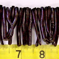 Black Coral