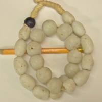 Pigeon Eggs
