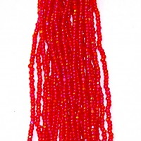 Trans Red Iris
