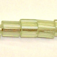 Old Style Tube Gooseberry